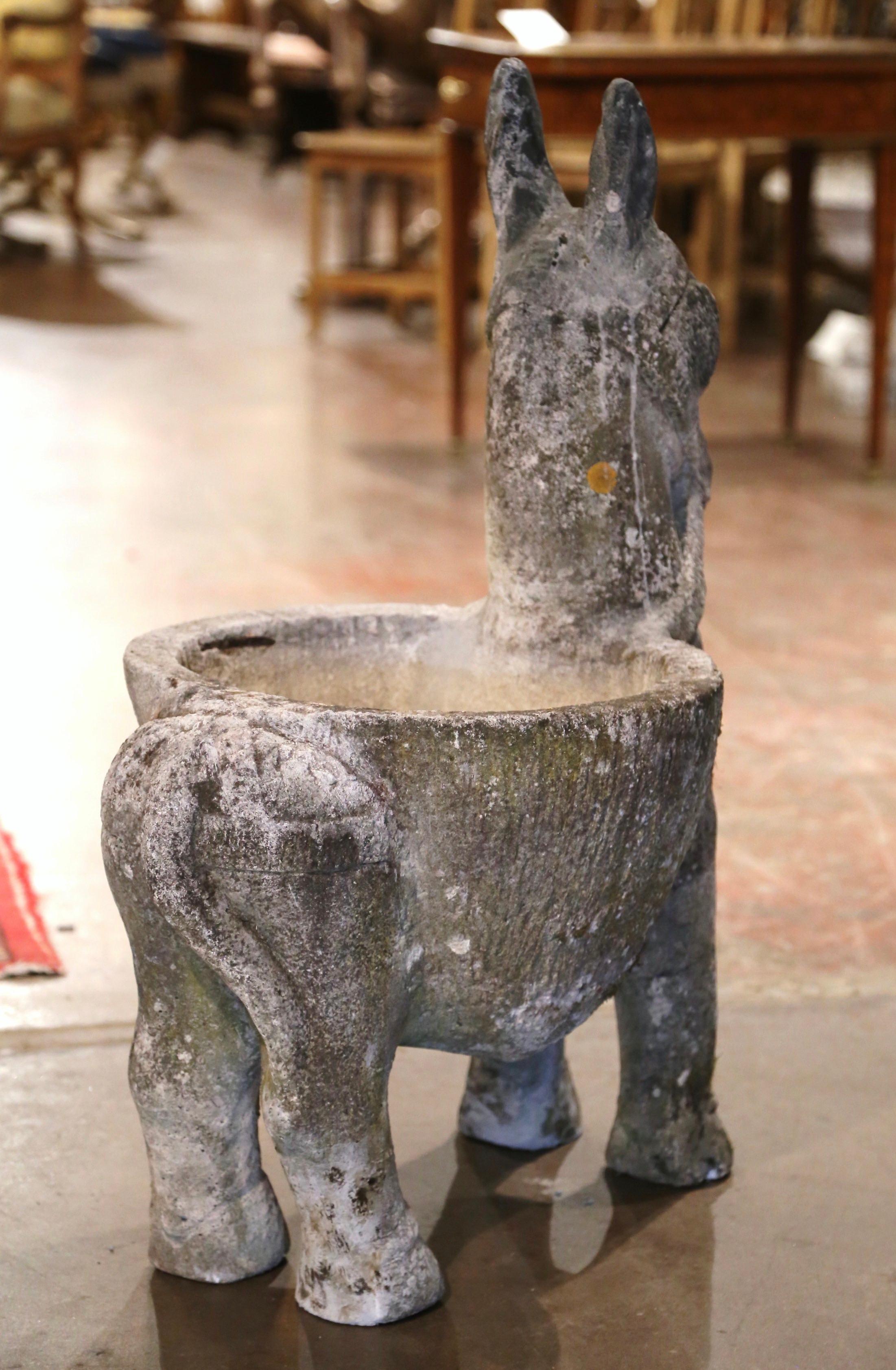 19th Century French Carved Weathered Concrete Garden Donkey Planter 4