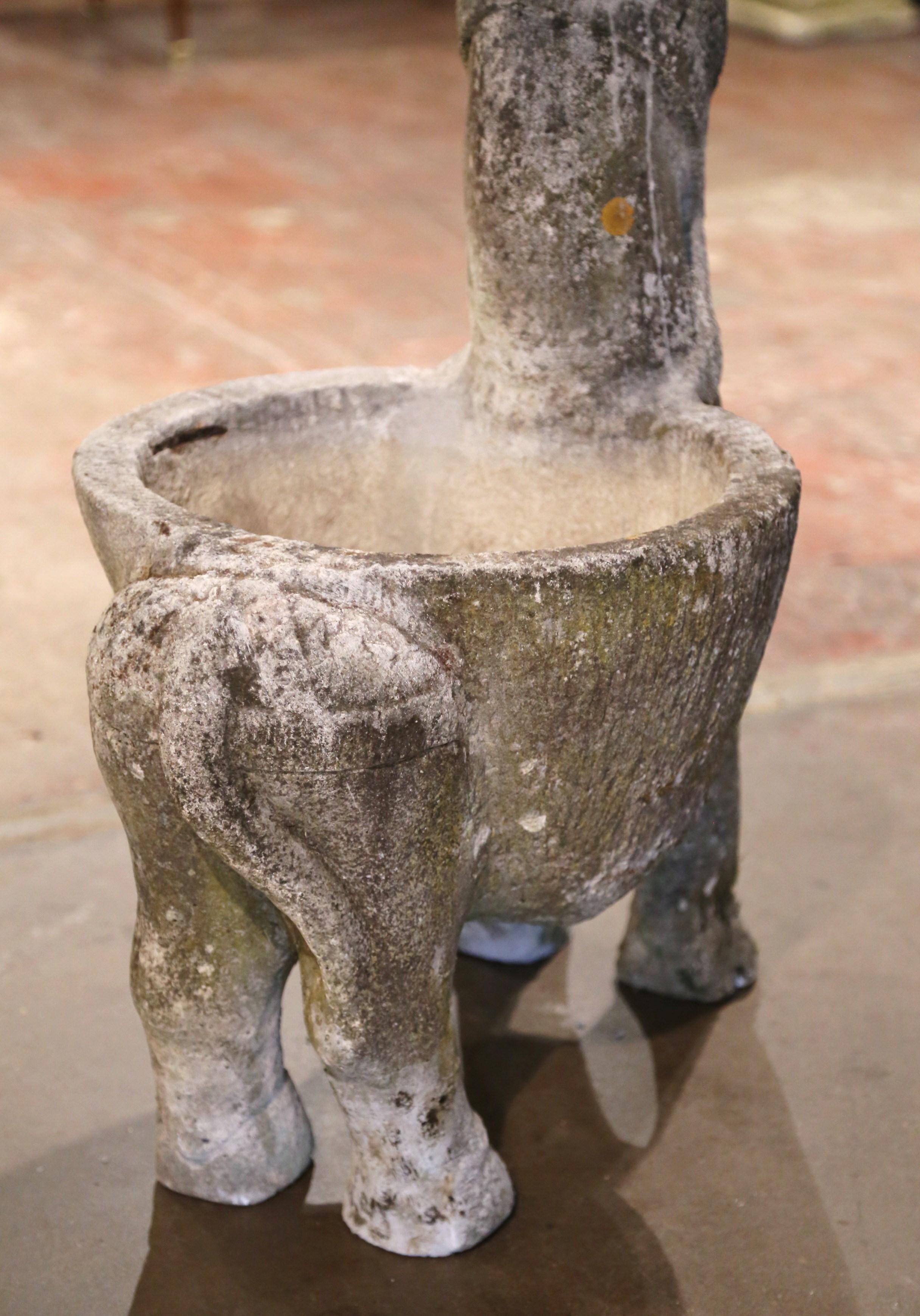 19th Century French Carved Weathered Concrete Garden Donkey Planter 5