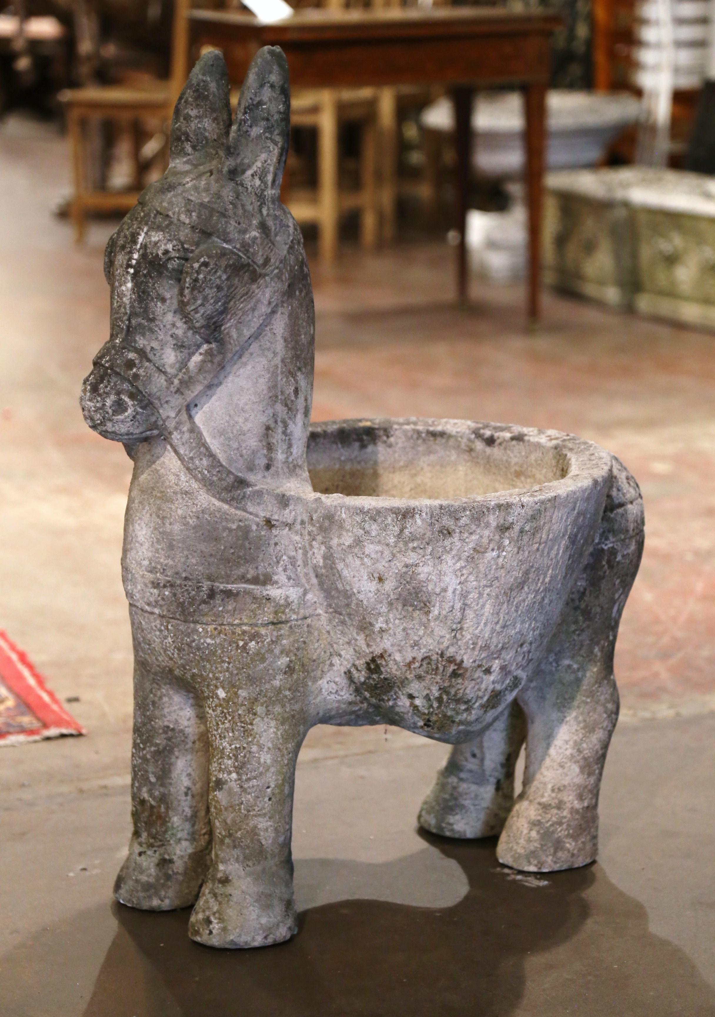 19th Century French Carved Weathered Concrete Garden Donkey Planter 2