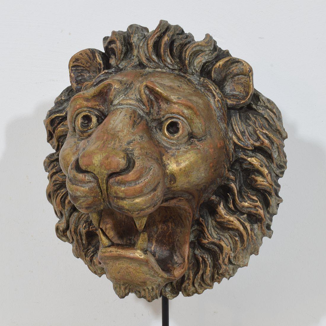 Testa di leone in legno intagliato francese del XIX secolo in vendita 4