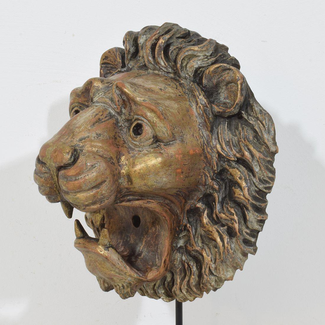 Testa di leone in legno intagliato francese del XIX secolo in vendita 5