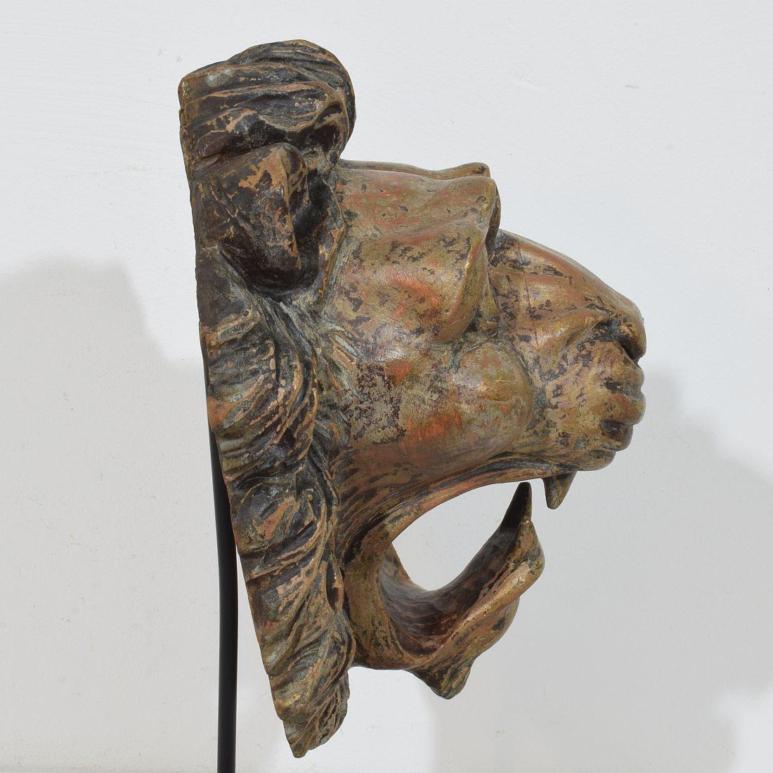 Testa di leone in legno intagliato francese del XIX secolo in vendita 8