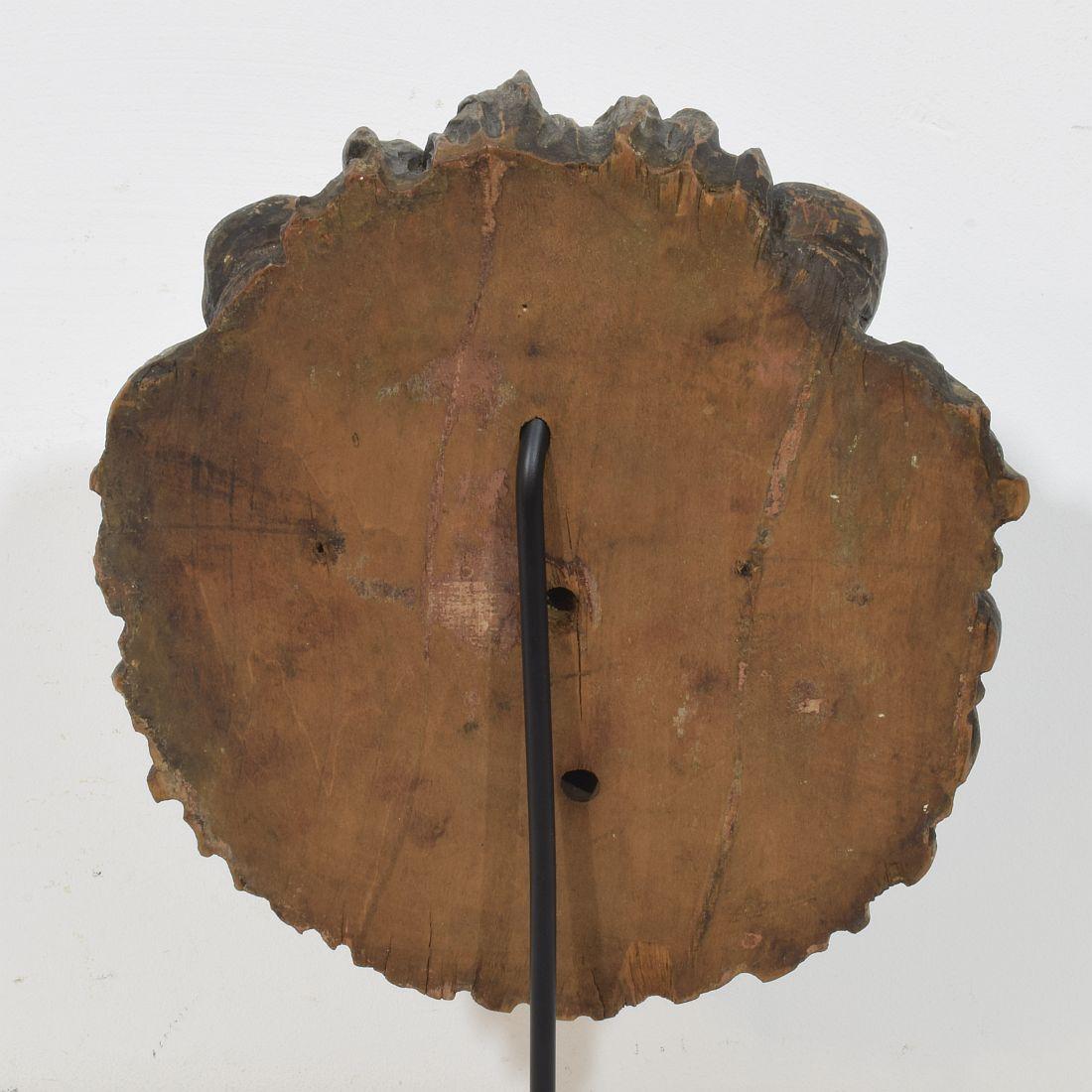 Testa di leone in legno intagliato francese del XIX secolo in vendita 9