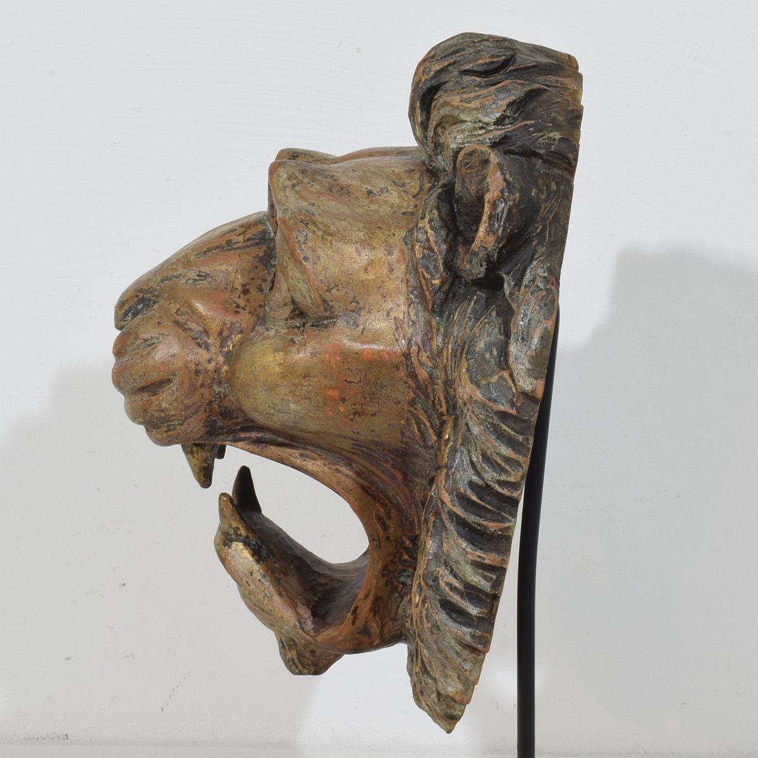 Testa di leone in legno intagliato francese del XIX secolo in vendita 10