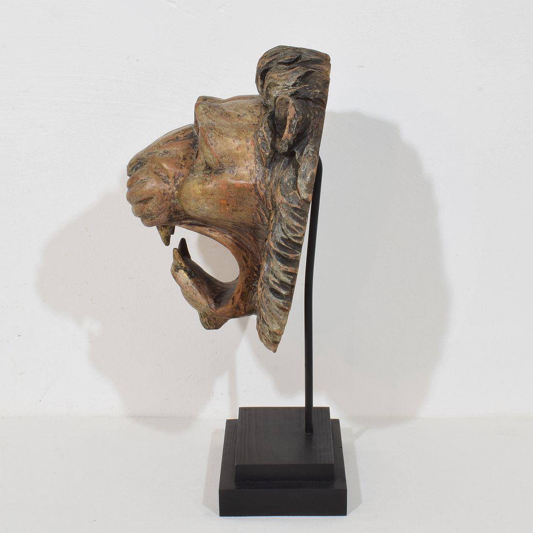 Testa di leone in legno intagliato francese del XIX secolo in vendita 2