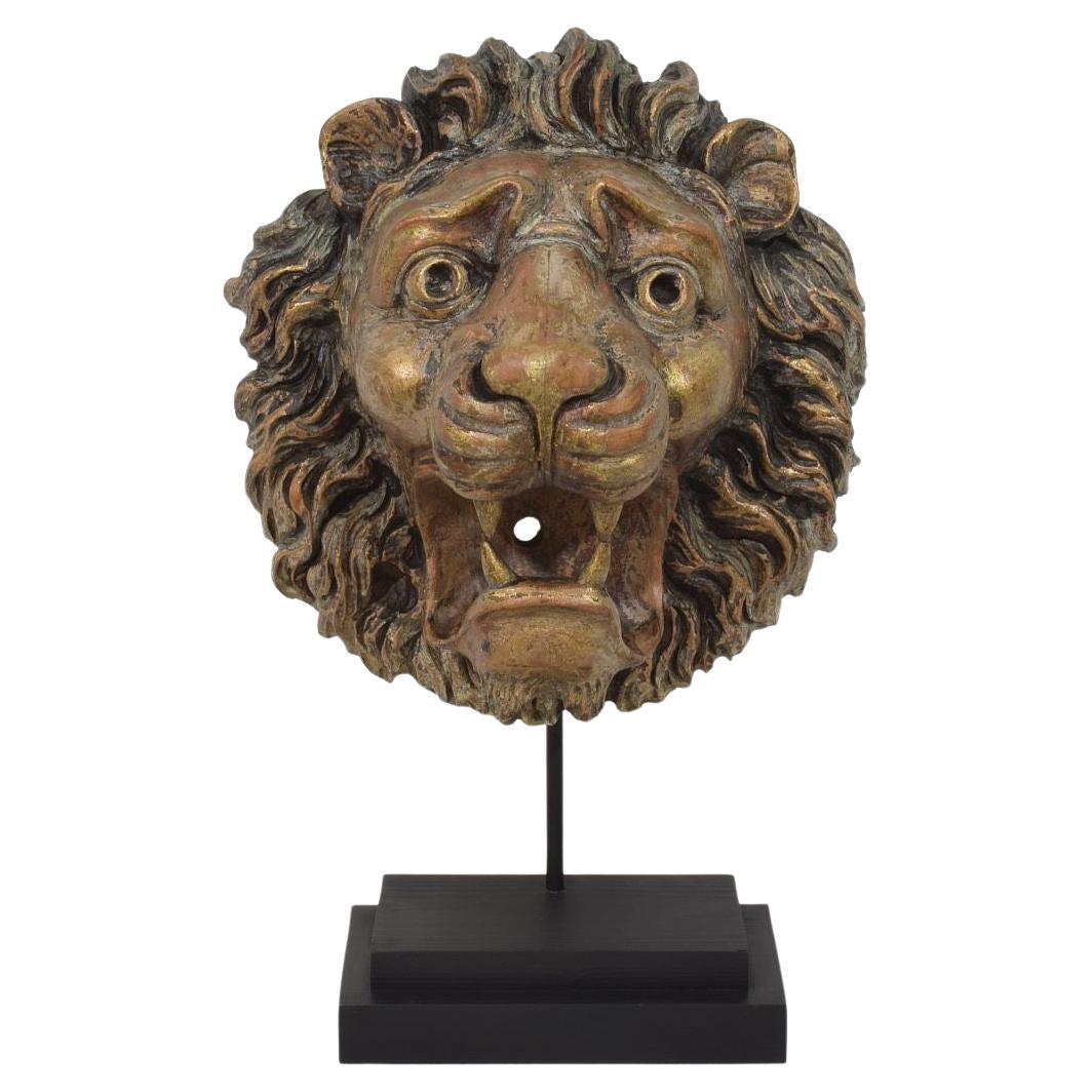 19th Century French Carved Wooden Lion Head