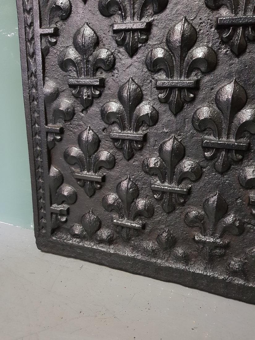19th Century French Cast Iron Fireback with French Lilies in Relief 1