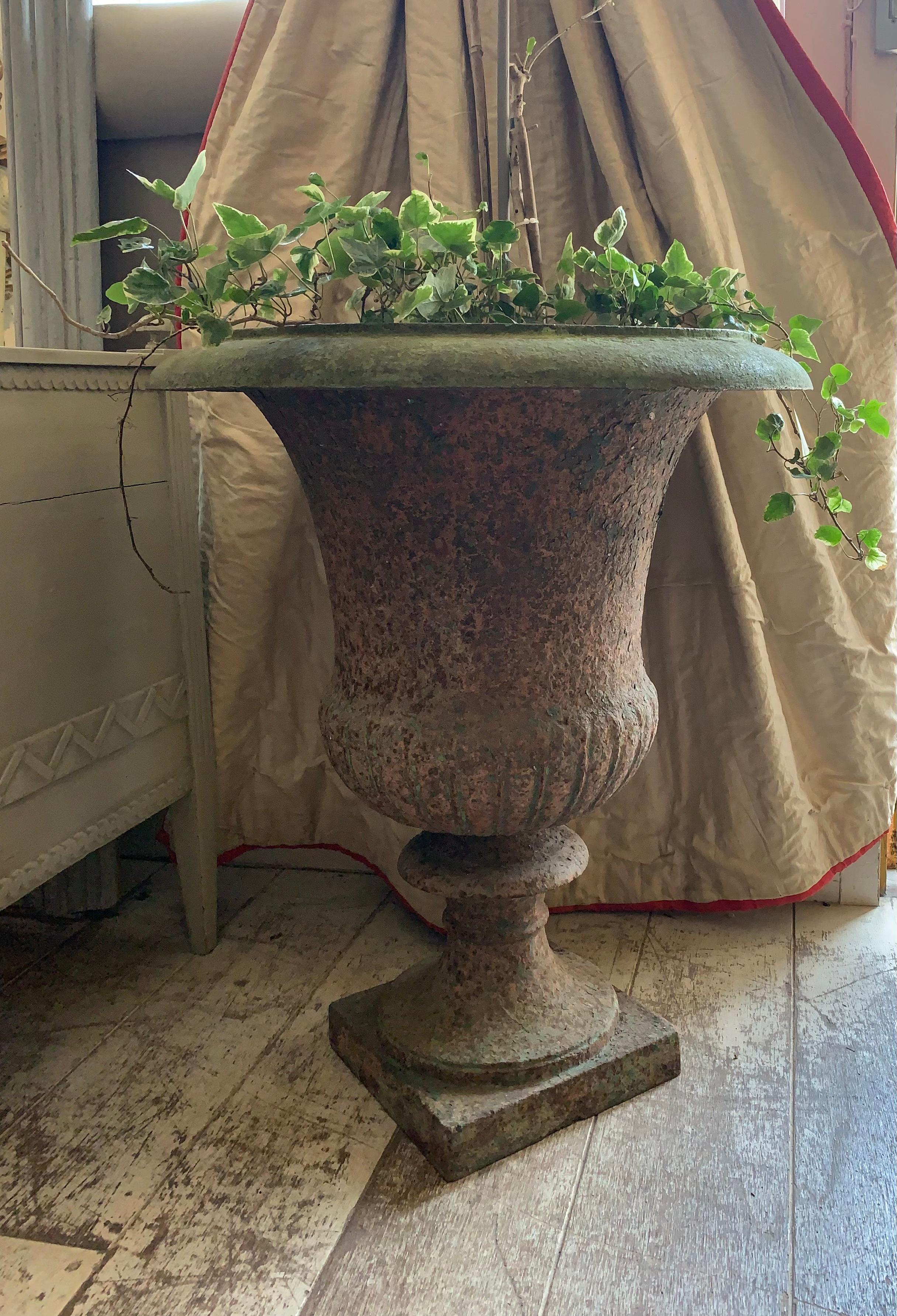 Un'urna in ghisa francese a forma di Campana di grandi dimensioni della fine del XIX secolo.
Forma classica e senza tempo, che conferisce una sobria eleganza.
È in buone condizioni ma ben conservato.
Ideale per piccoli alberi ornamentali, grandi