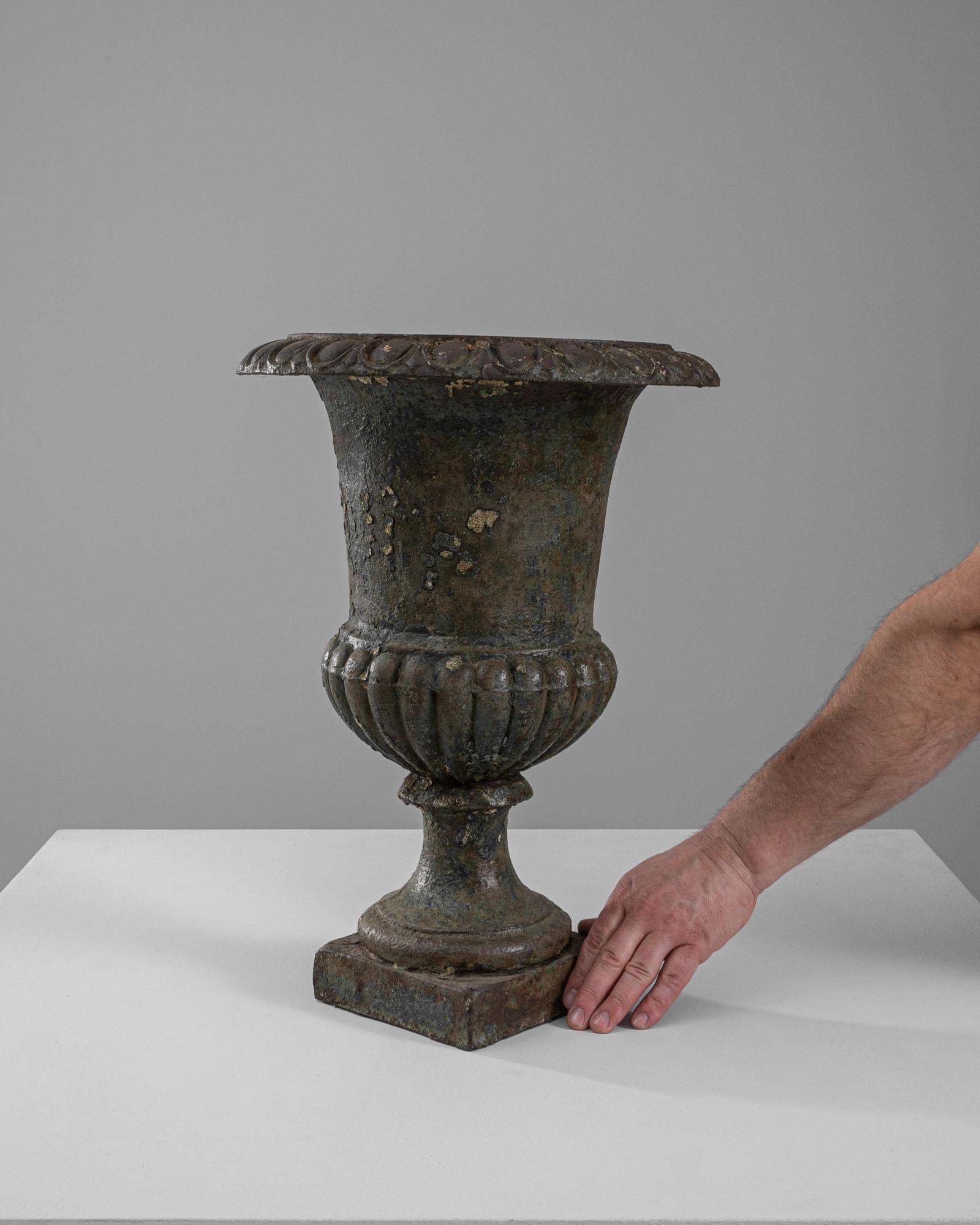 19th Century French Cast Iron Planter 2