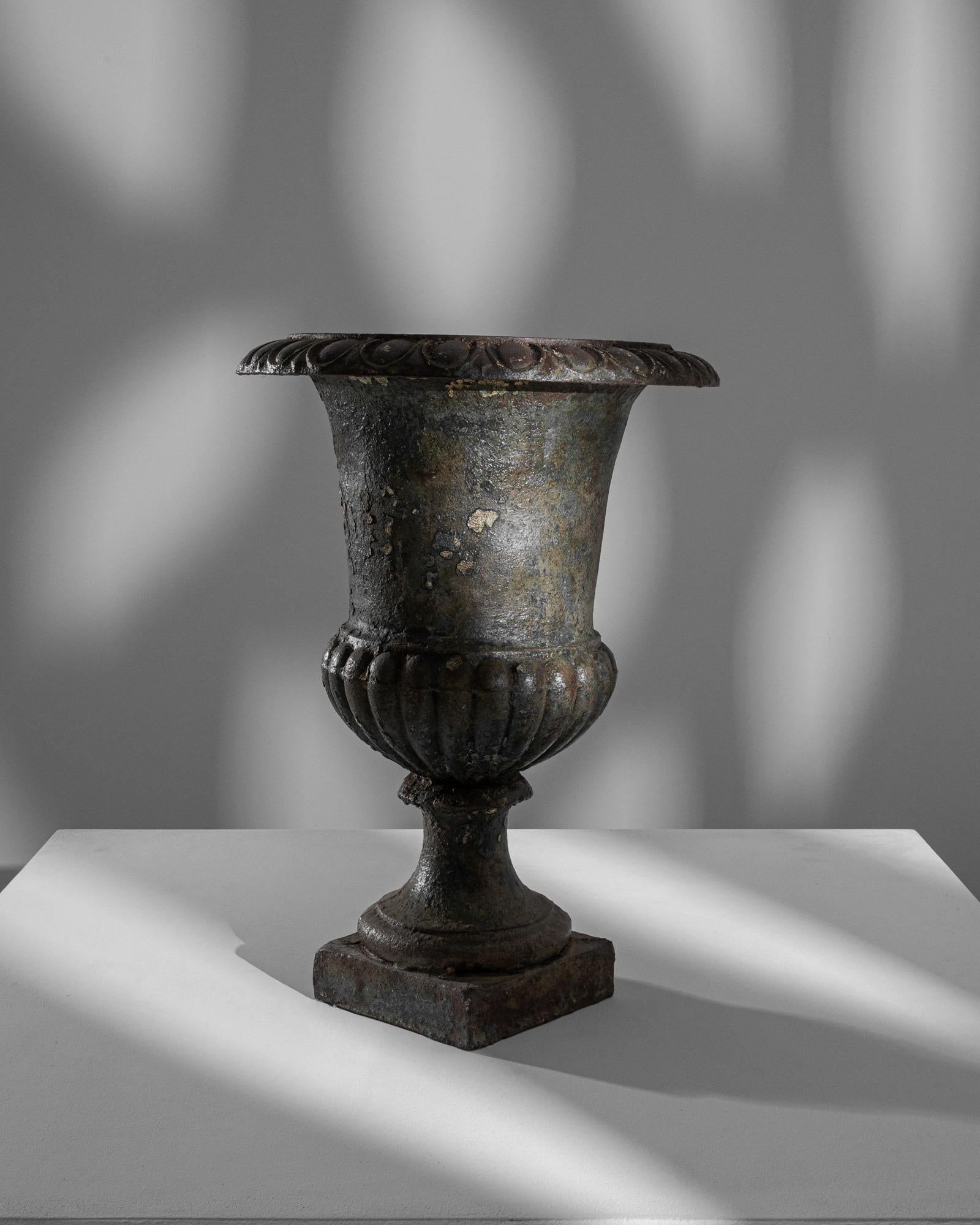 19th Century French Cast Iron Planter 3