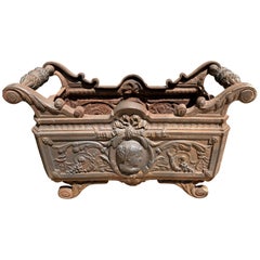19th Century French Cast Iron Planter