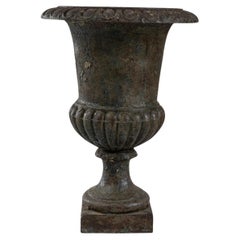 Used 19th Century French Cast Iron Planter