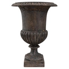 19th Century French Cast Iron Planter