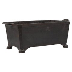 19th Century French Cast Iron Planter