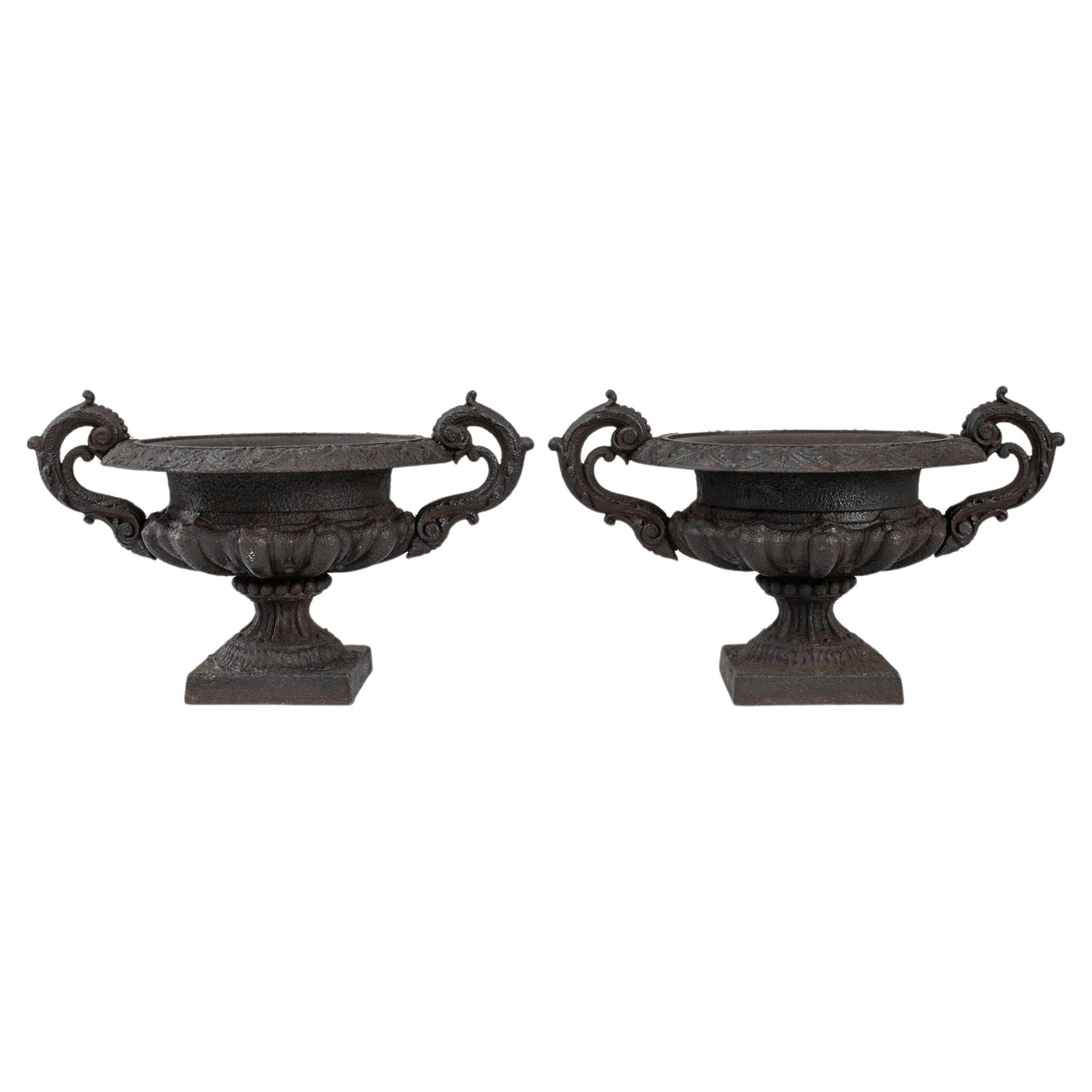 19th Century French Cast Iron Planters, a Pair For Sale