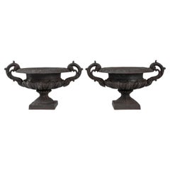 Vintage 19th Century French Cast Iron Planters, a Pair