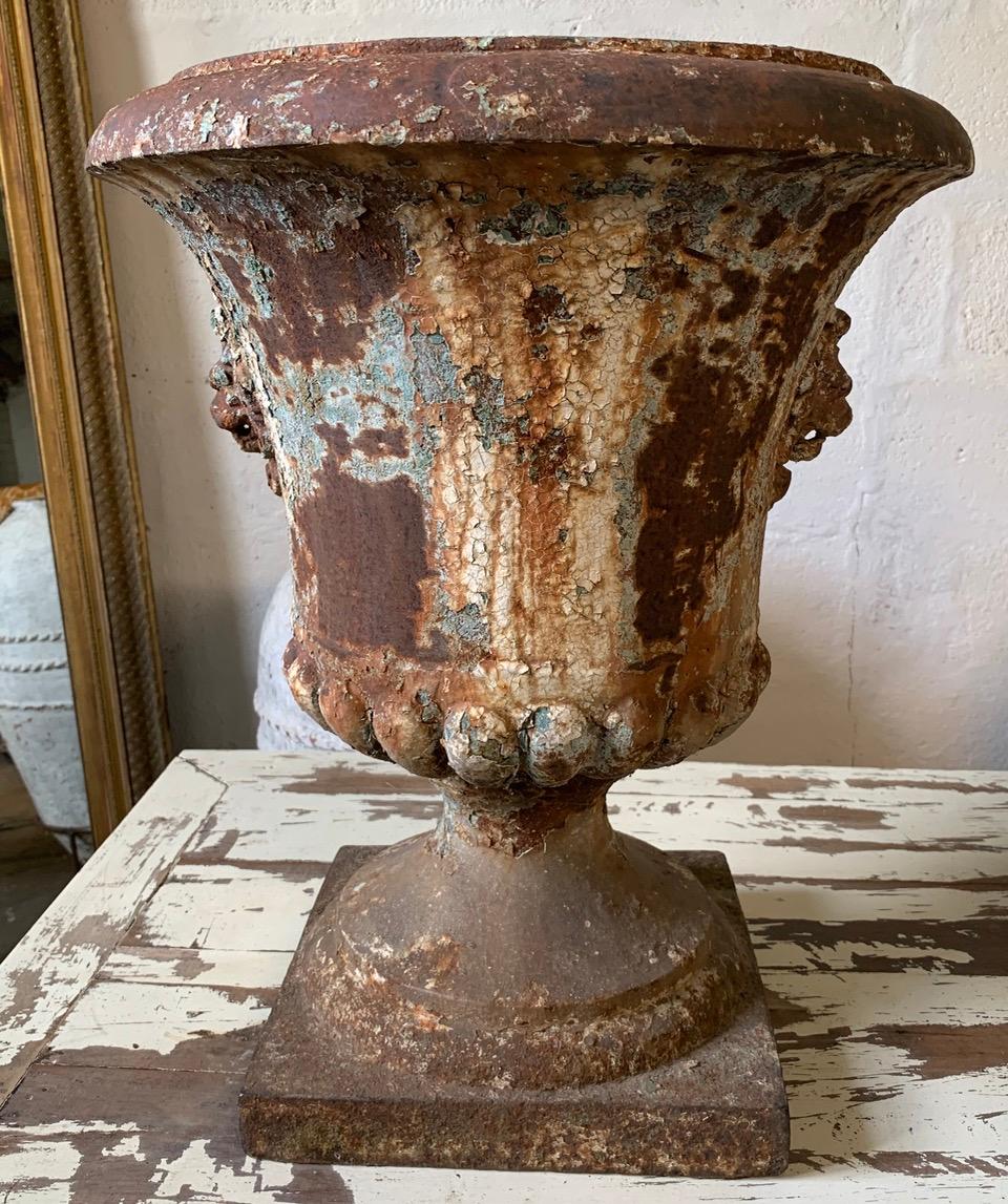 A very decorative French 19th century cast iron urn which is decorated with a pair of Lion heads. It has a beautiful patina with old original weathered paint which adds to the look. Small repair to the rim, otherwise in great original
