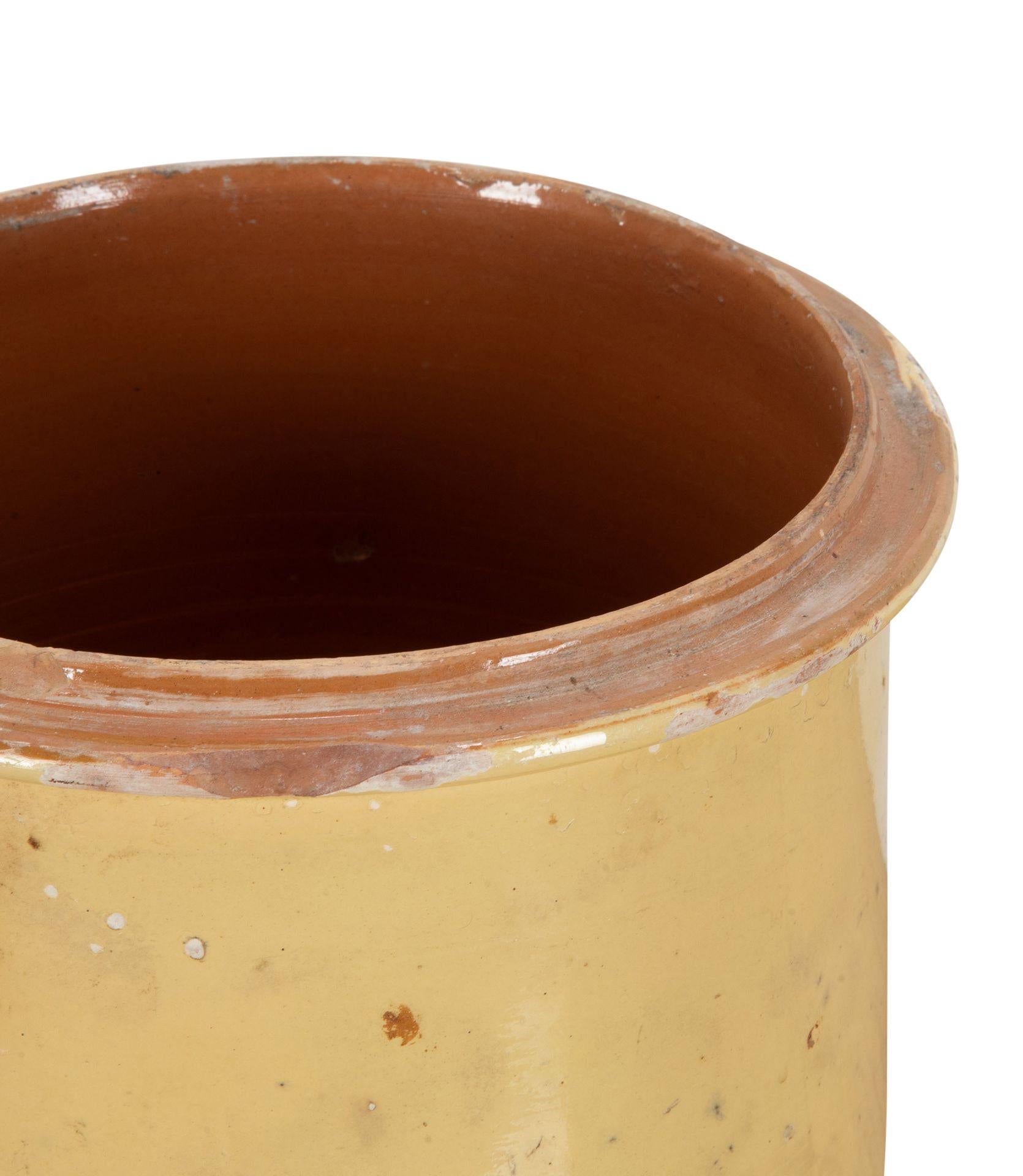 Vaso in ceramica francese del XIX secolo proveniente dalla regione della Savoia in vendita 3
