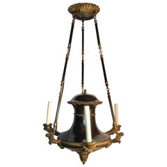 19th Century French Charles X Chandelier
