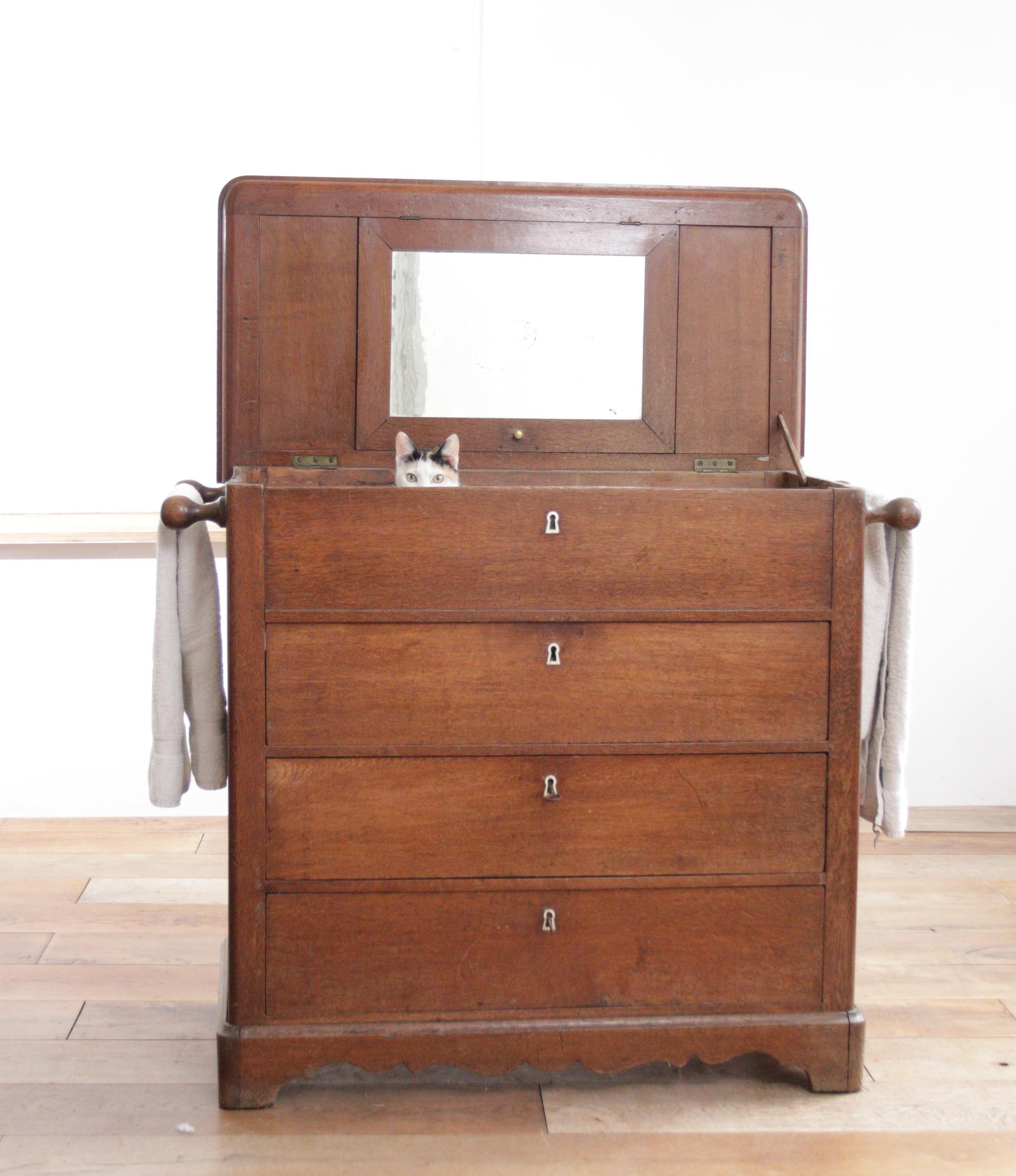 19th Century French Commode - an Antique Gem!  In Good Condition For Sale In Boven Leeuwen, NL