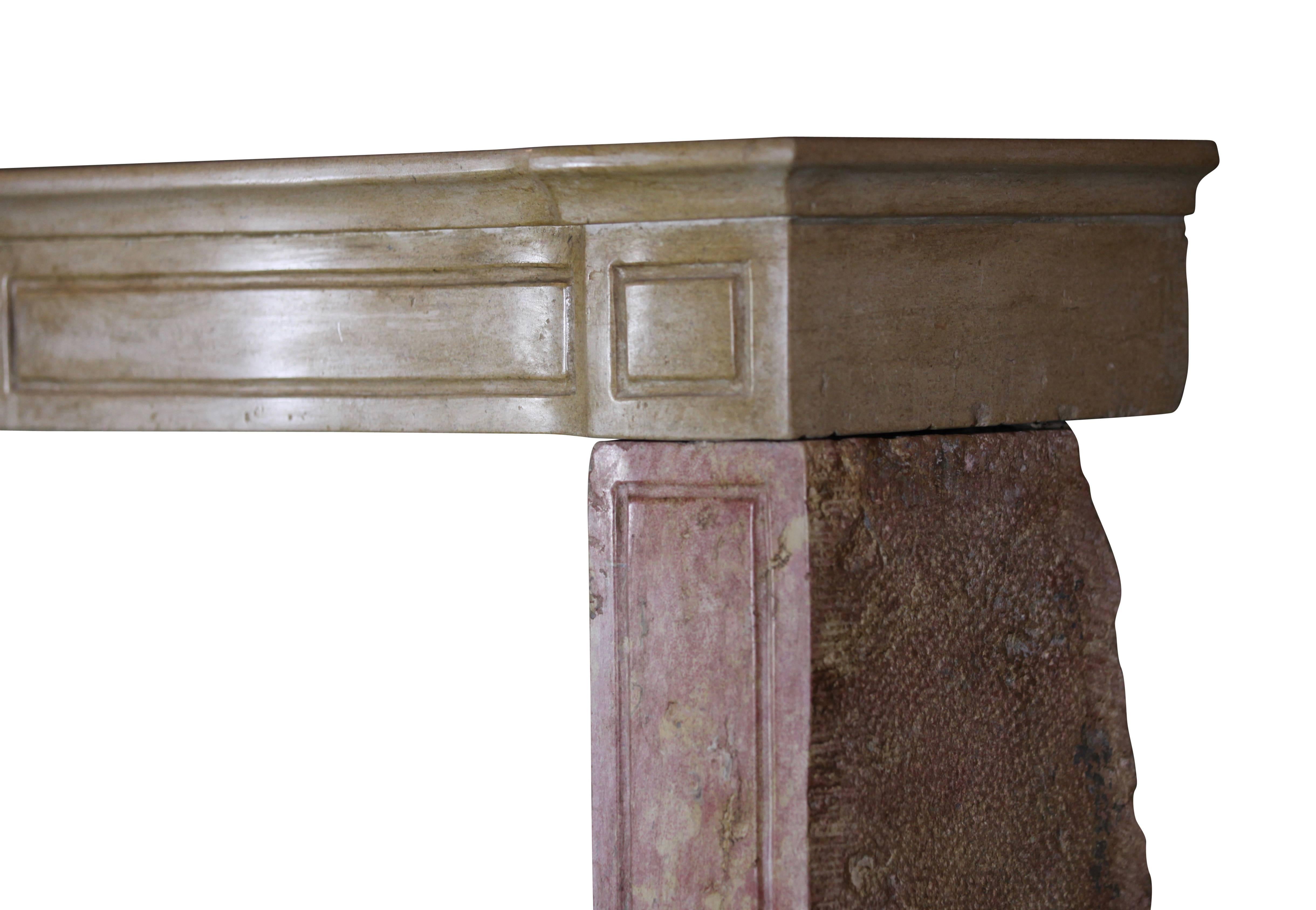 19th Century French Country Antique Fireplace Surround in Bicolor Lime Stone For Sale 1