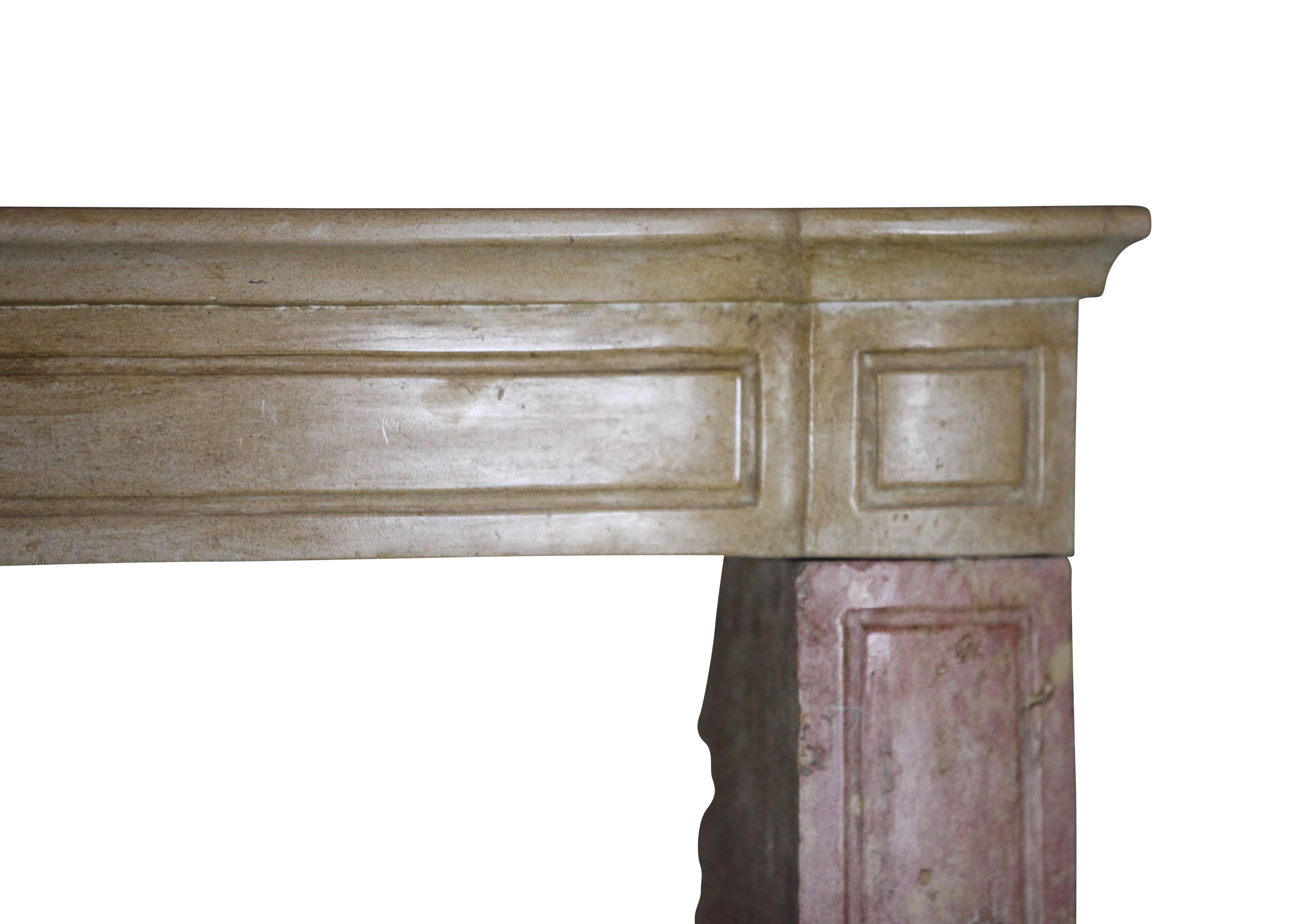 19th Century French Country Antique Fireplace Surround in Bicolor Lime Stone For Sale 3