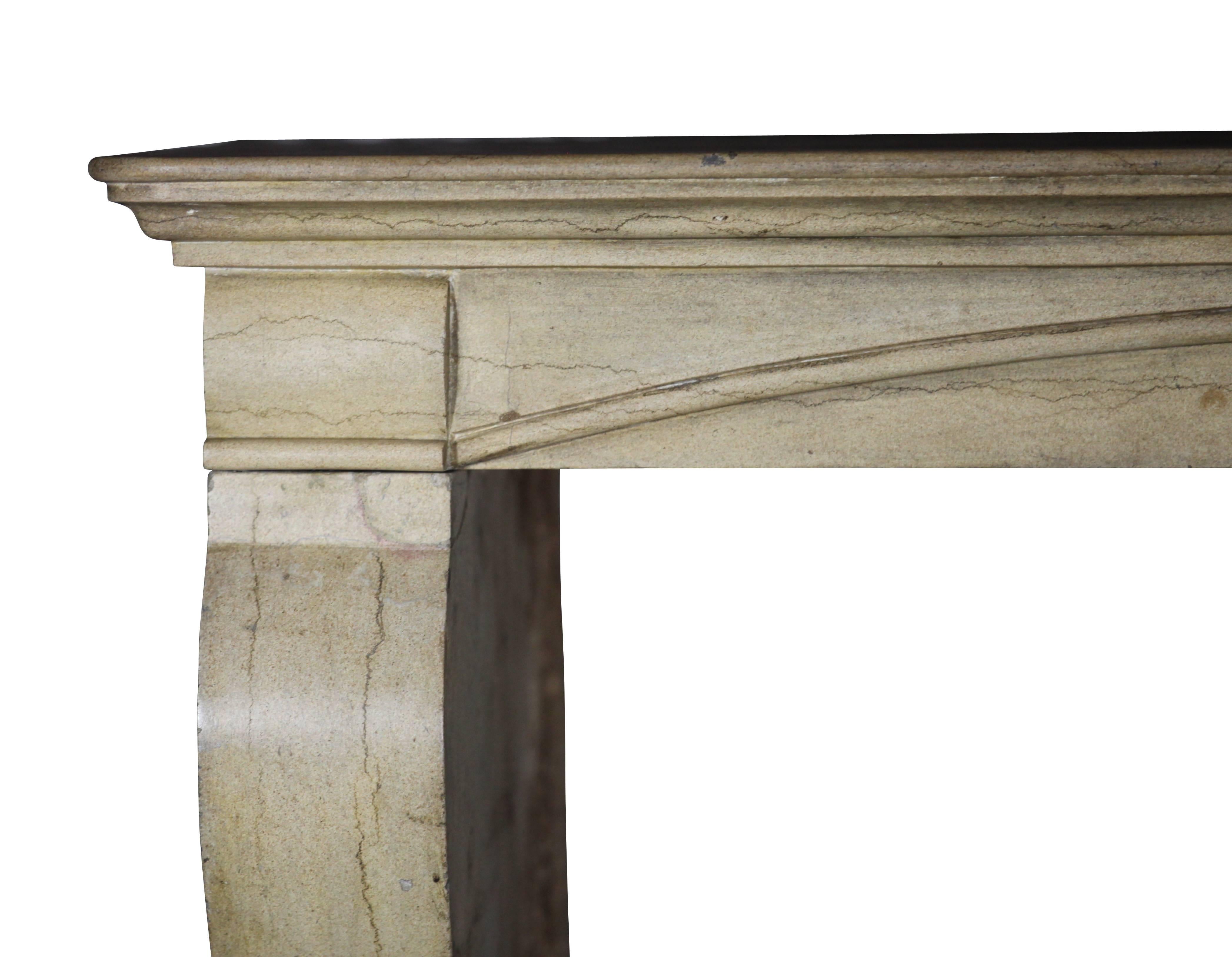 Louis Philippe 19th Century French Country Hard Limestone Antique Fireplace Surround For Sale