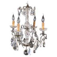 19th Century French Crystal Birdcage Chandelier