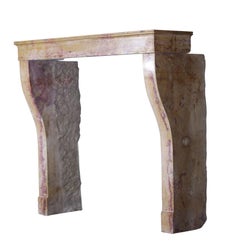 19th Century French Designed by Nature Stone Antique Fireplace Surround