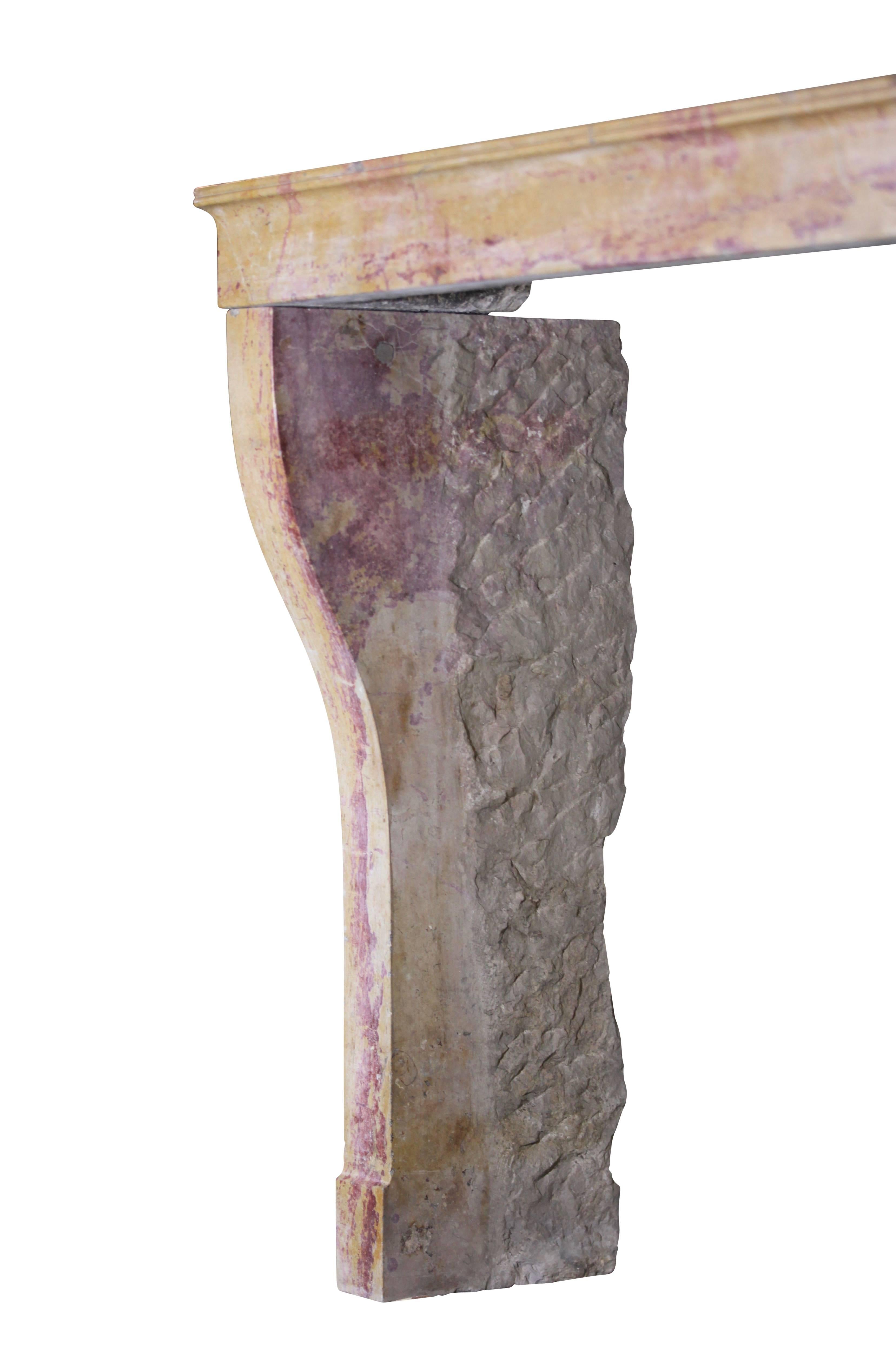 Siglo XIX Francés Diseñado por la Naturaleza Entorno de Chimenea Antiguo de Piedra Luis Felipe en venta