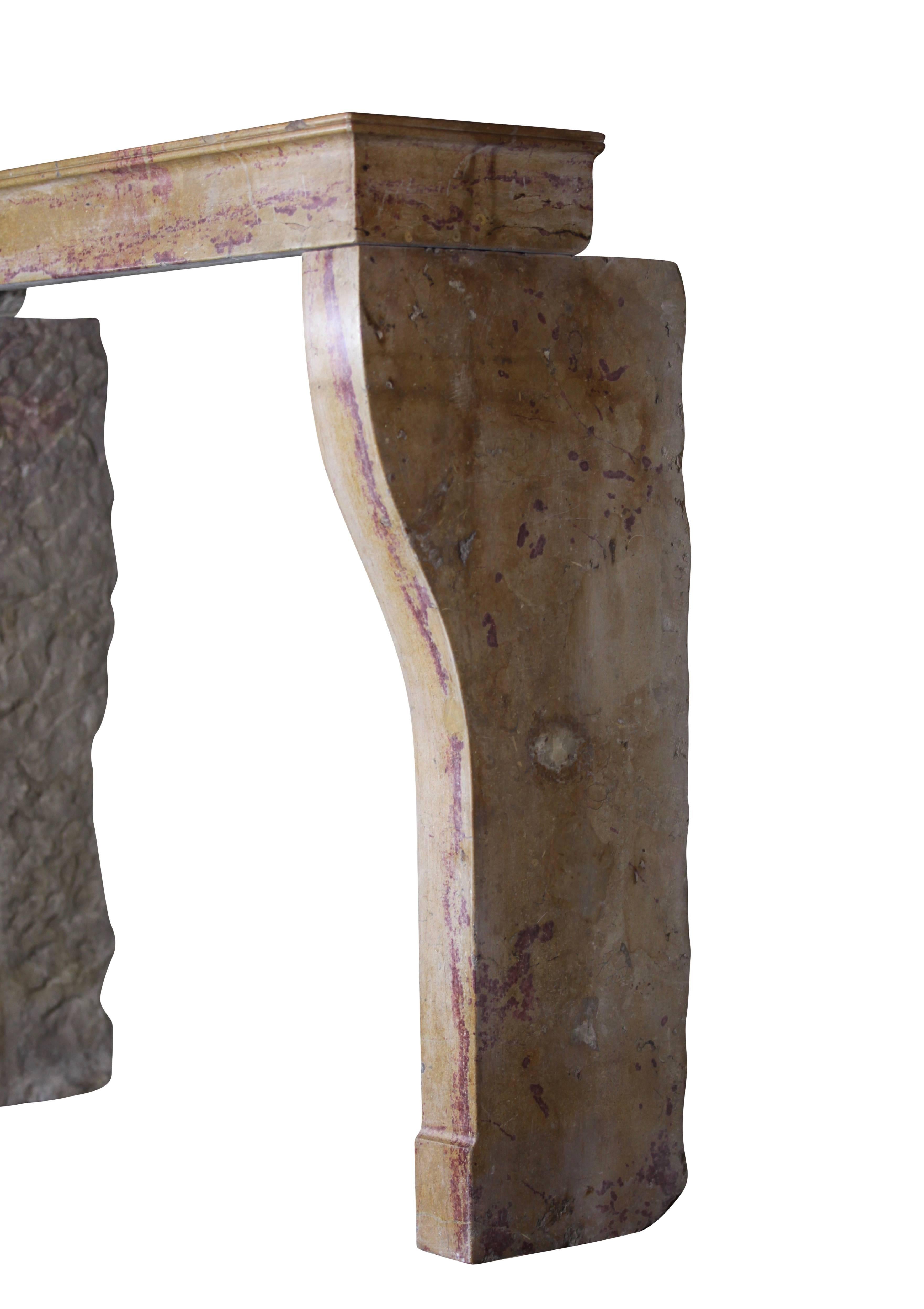 Siglo XIX Francés Diseñado por la Naturaleza Entorno de Chimenea Antiguo de Piedra Tallado en venta