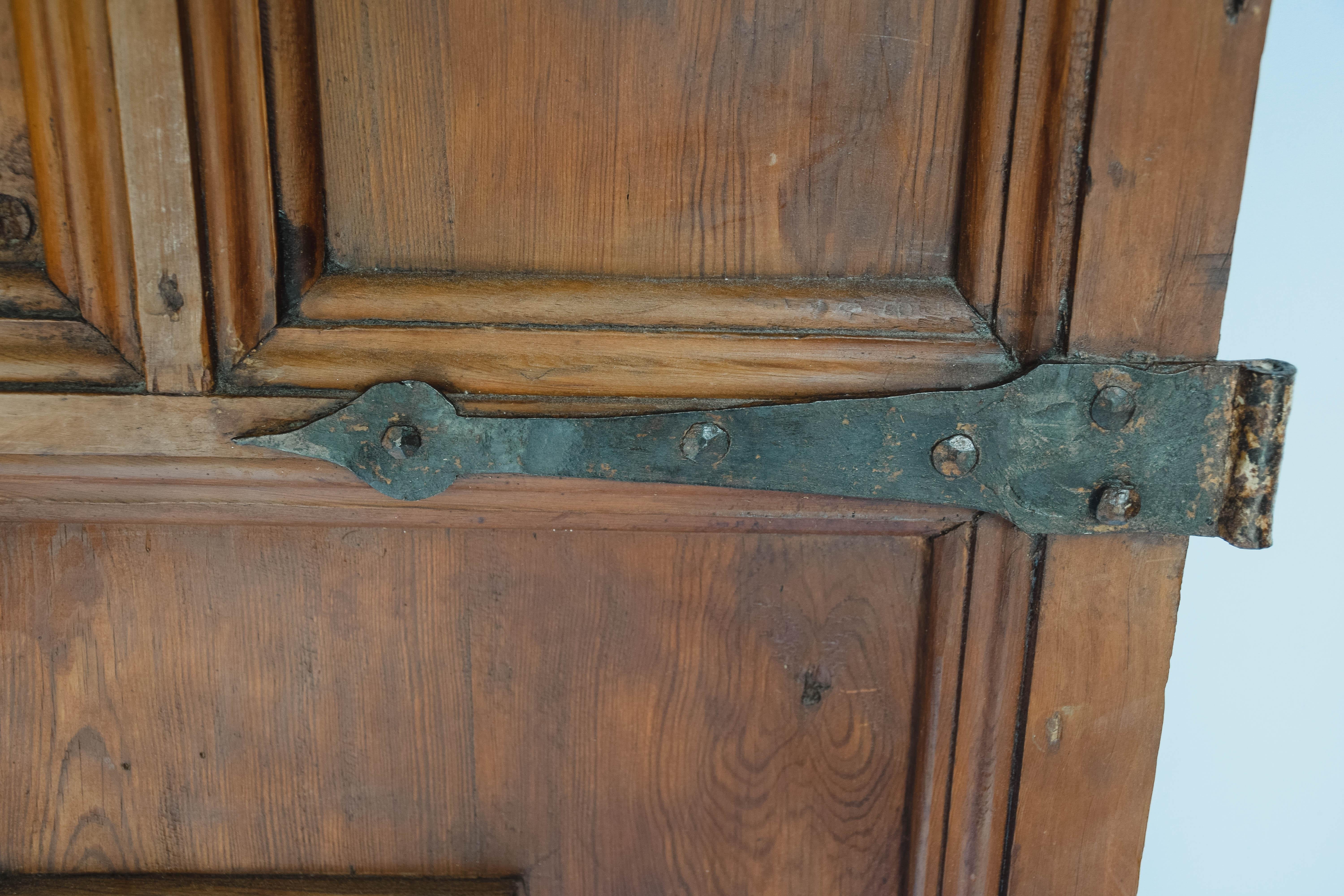 19th Century French Door 5