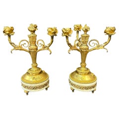 Candelabro francés de bronce doré del siglo XIX