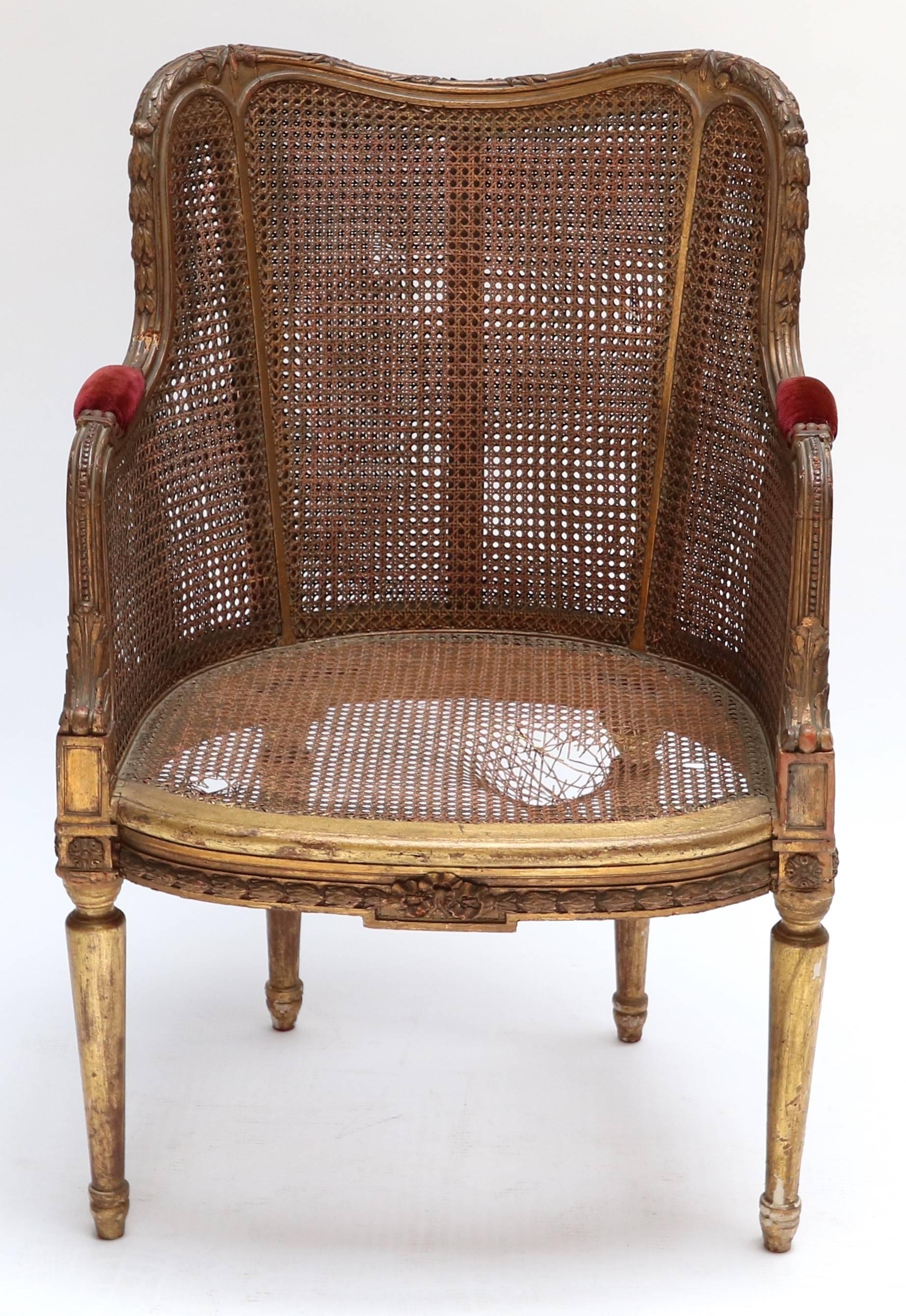 Vergoldeter französischer Doppelschilfrohr-Stuhl des 19. Jahrhunderts (Französisch) im Angebot