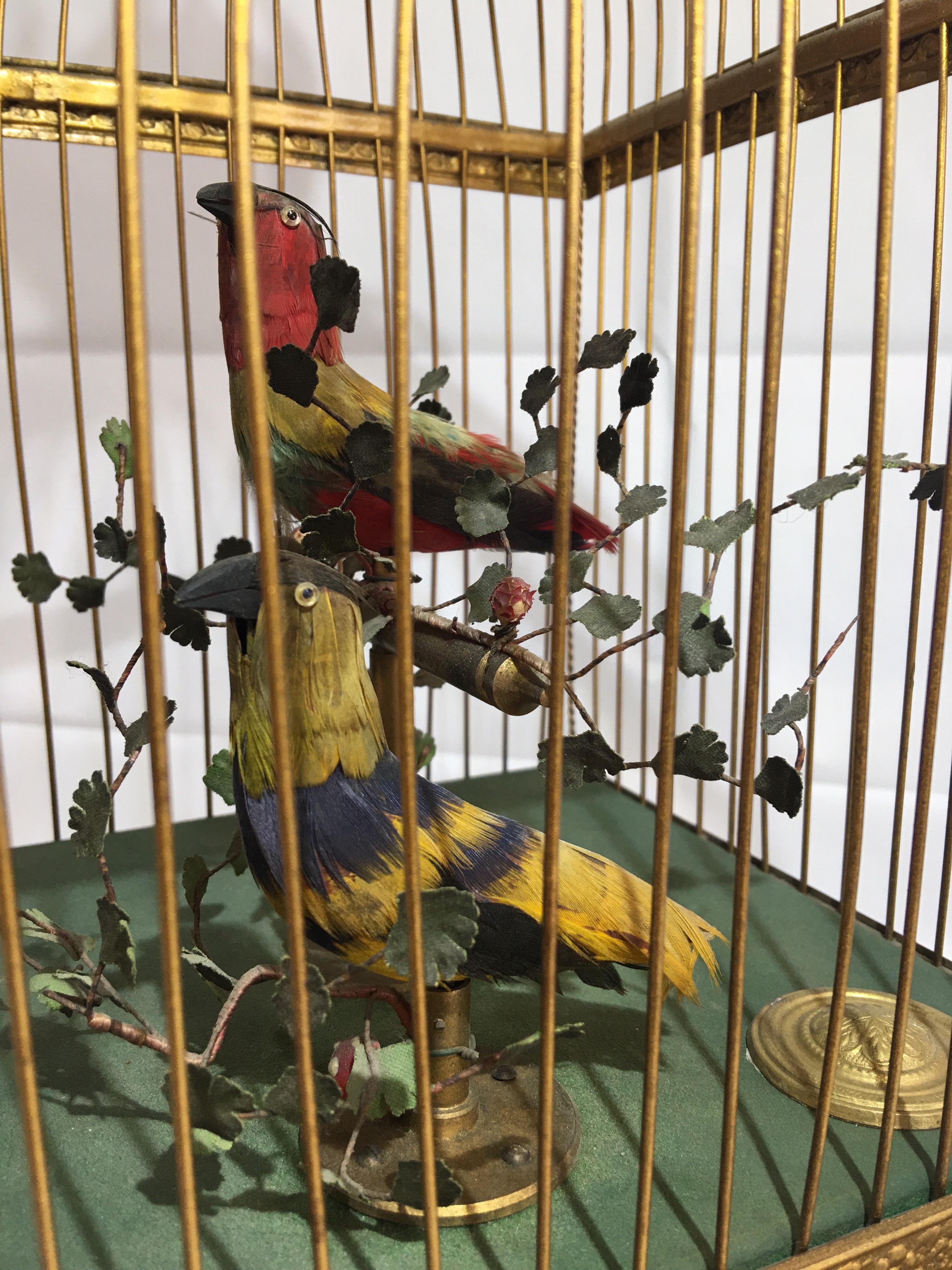 19th Century French Double Singing Birds Automation in Cage In Good Condition For Sale In London, Nottinghill