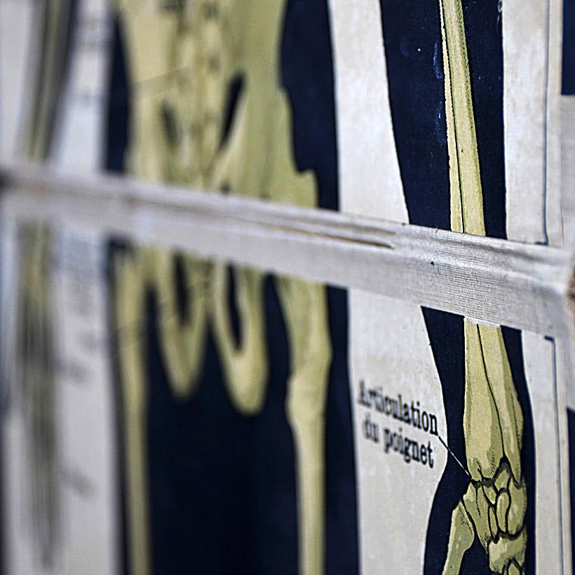 affiches deyrolles