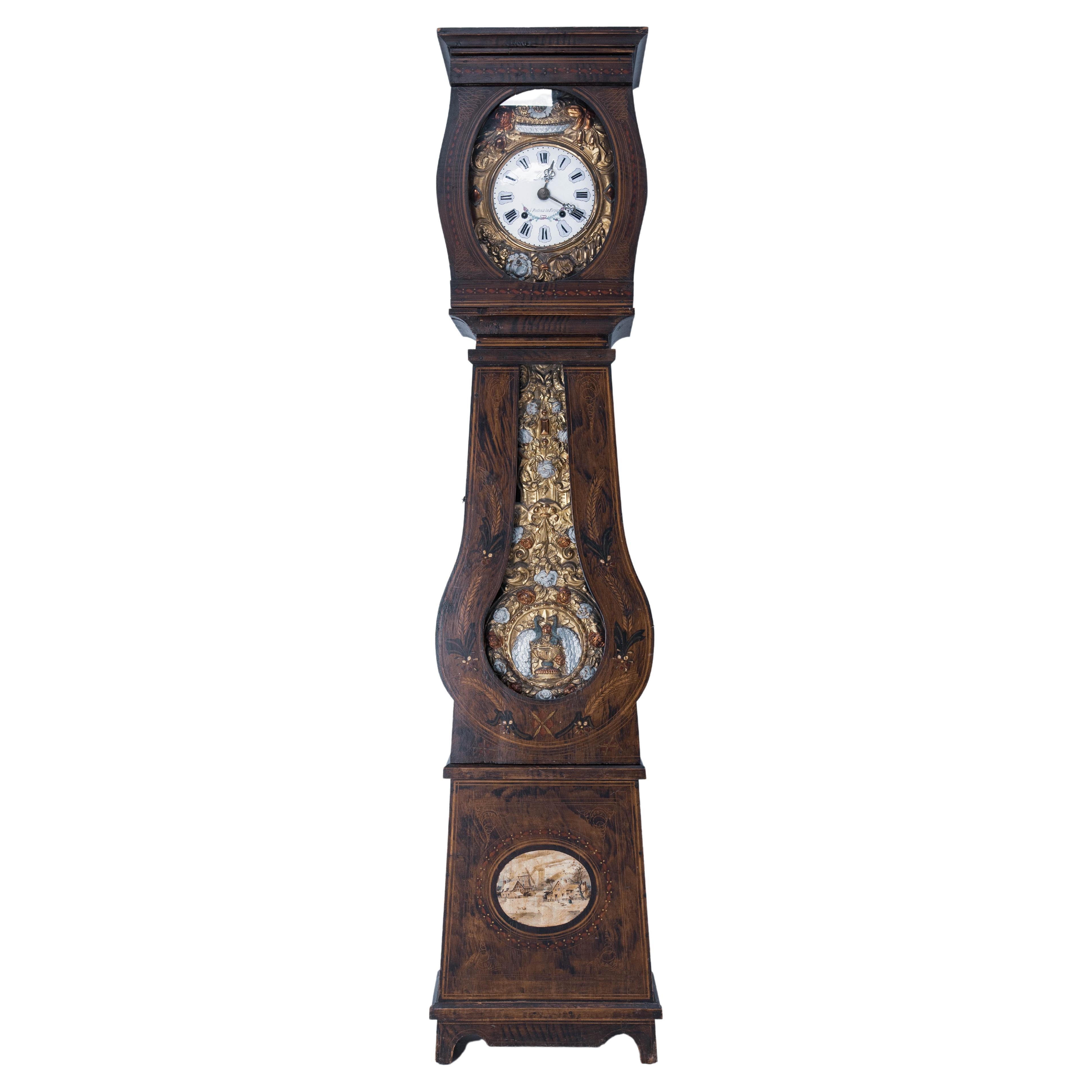 19th Century French Empire Comtoise or Grandfather Clock with Two Peacocks