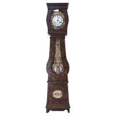 19th Century French Empire Comtoise or Grandfather Clock with Two Peacocks