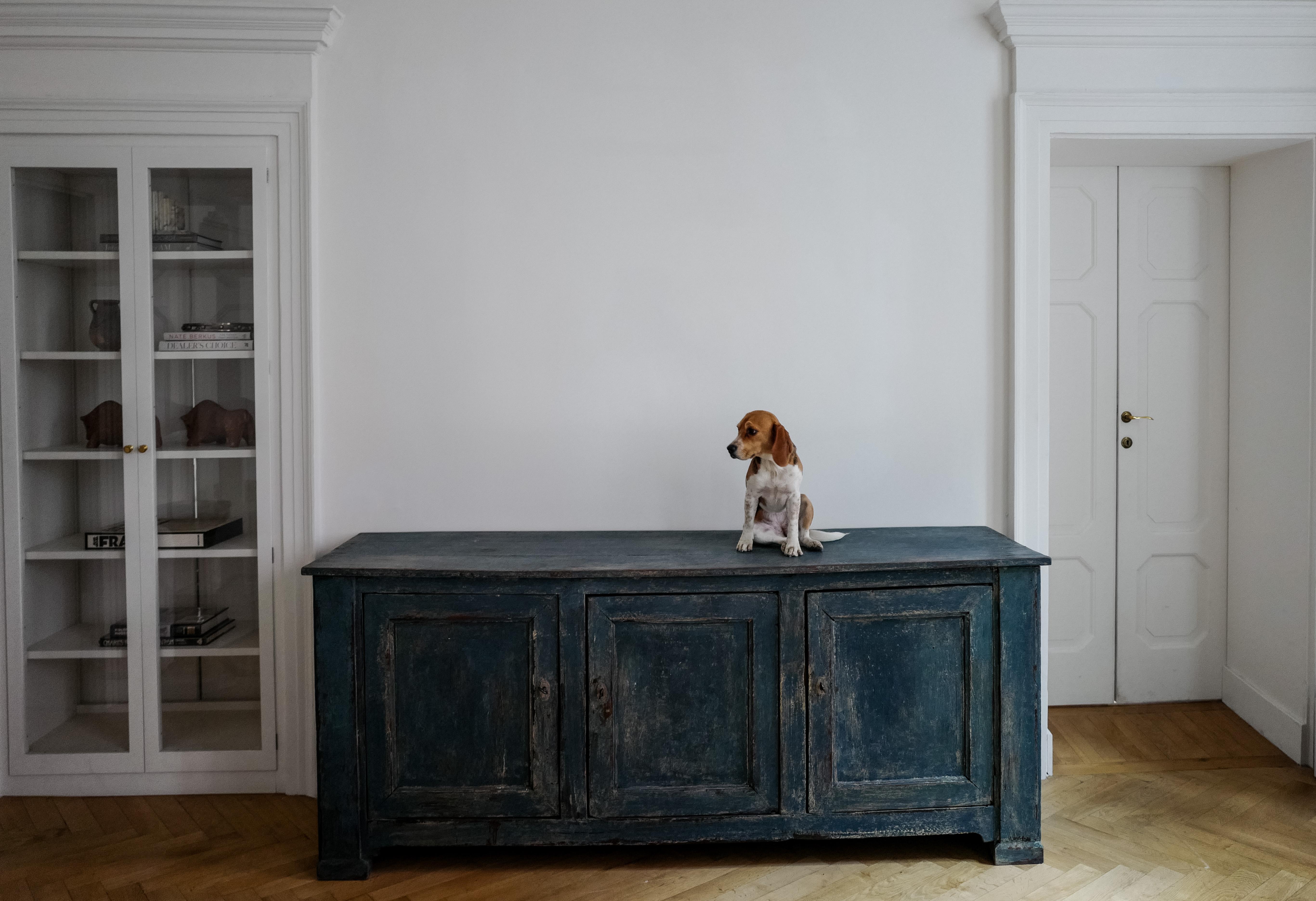 19th Century French Enfilade Sideboard Buffet 6