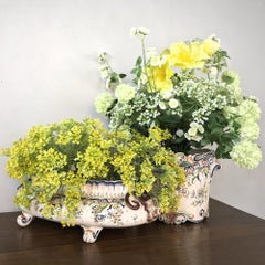 19th Century French Faience Oval Jardiniere