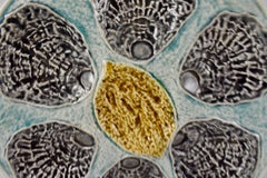 19th Century French Faïence Pays Rustique Provençal Oyster Plate, B