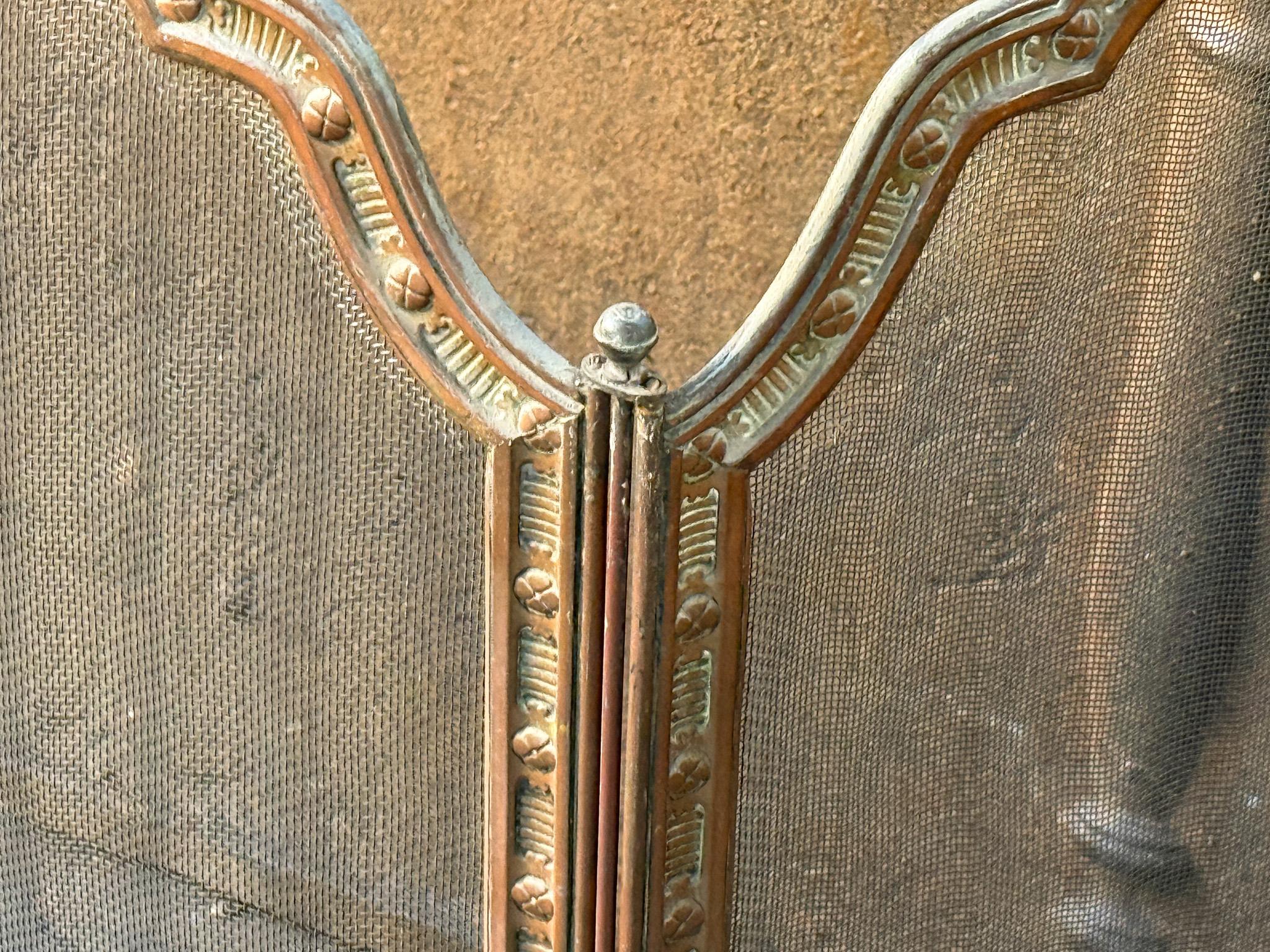 19th Century French Fireplace Screen, Napoleon III Period 6