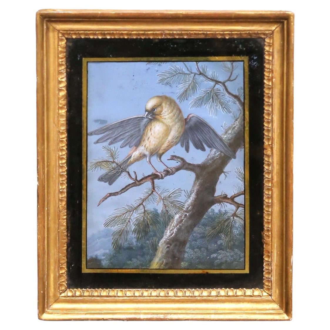 19th Century French Fixé Sous Verre Bird Painting in Carved Giltwood Frame