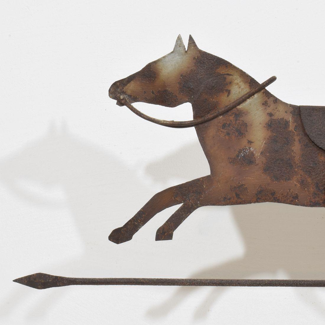 Cavallo di Metal Art del 19° secolo, banderuola per tetto 3