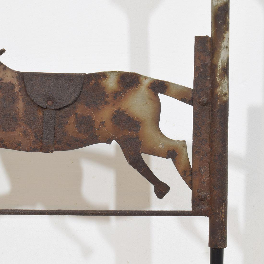 Cavallo di Metal Art del 19° secolo, banderuola per tetto 4