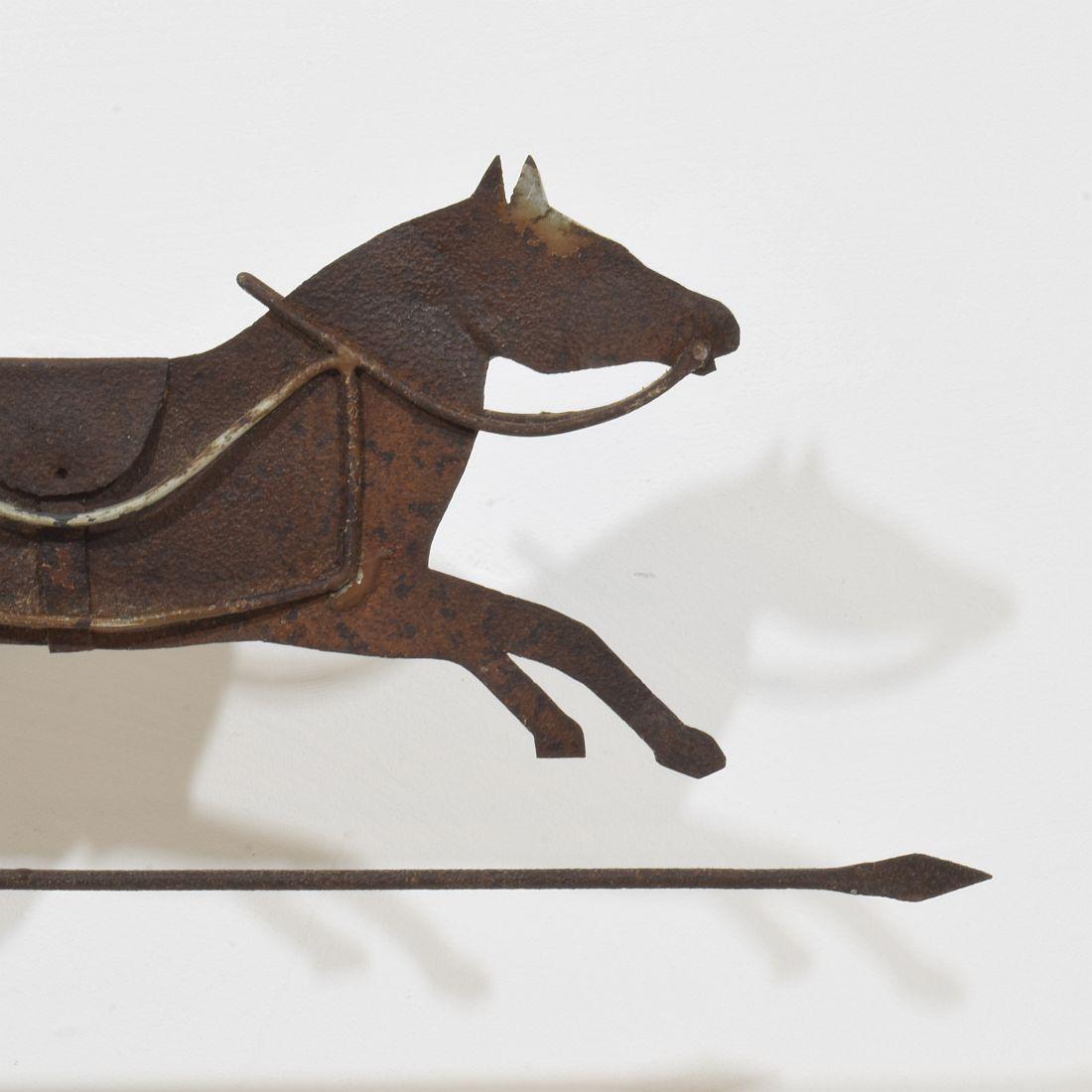 Cavallo di Metal Art del 19° secolo, banderuola per tetto 6