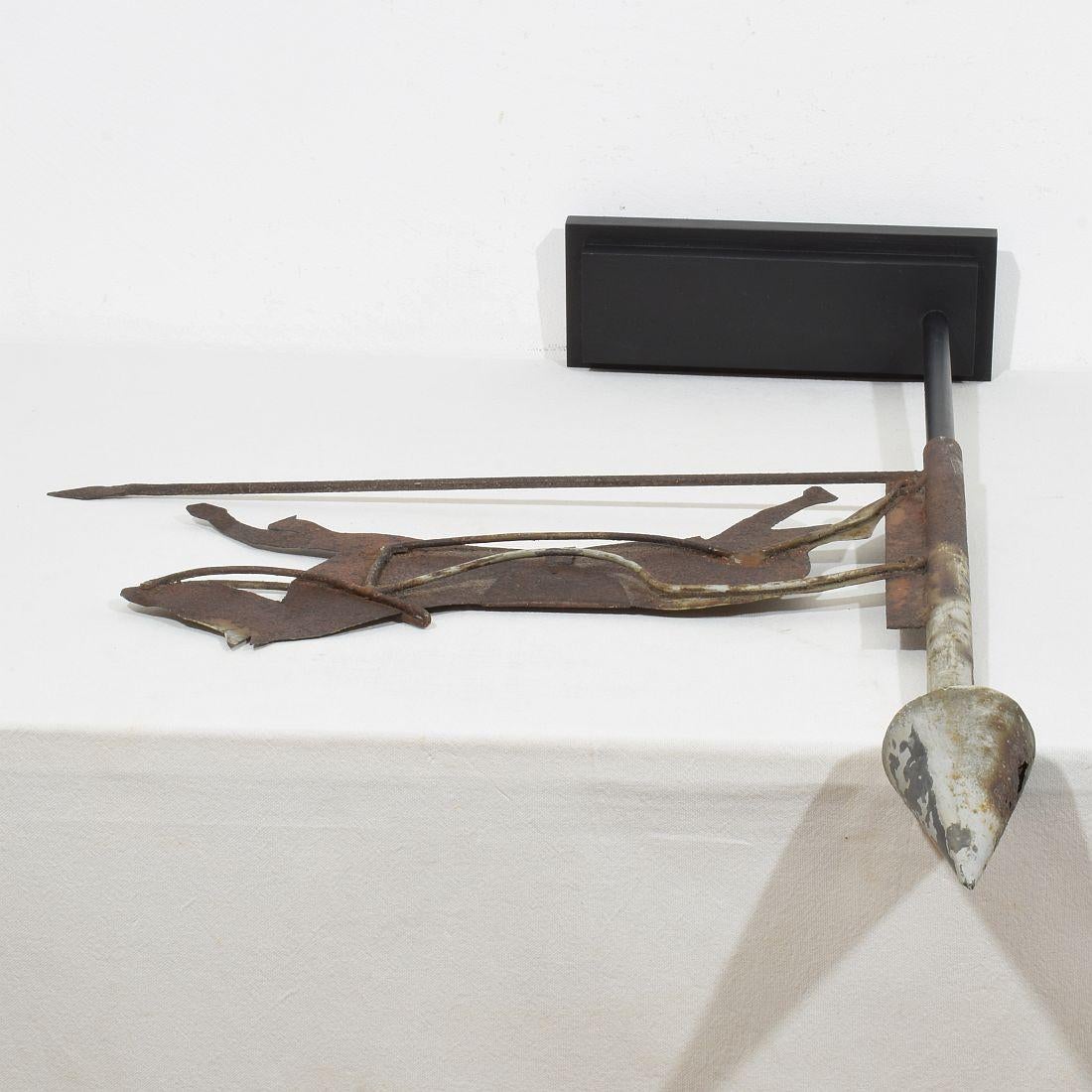 Cavallo di Metal Art del 19° secolo, banderuola per tetto 11