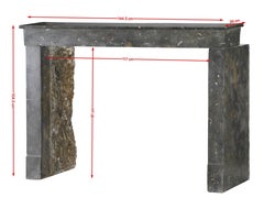 19th Century French Fossil Stone Fireplace Mantel from Beaujolais - Bespoke