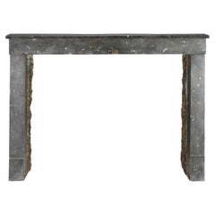 19th Century French Fossil Stone Fireplace Mantel from Beaujolais - Bespoke