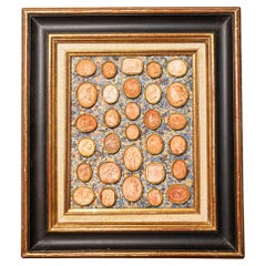 19th Century French Framed Cameo Collection with Gilt Accents